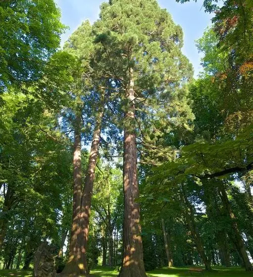 Zámek Ratměřice   Hotel & Resort