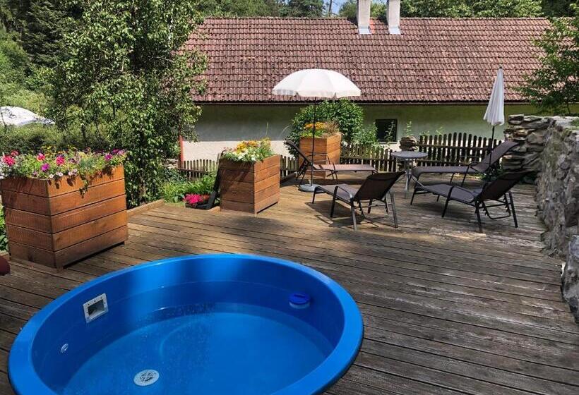 Общежитие Hamr Divci Kamen