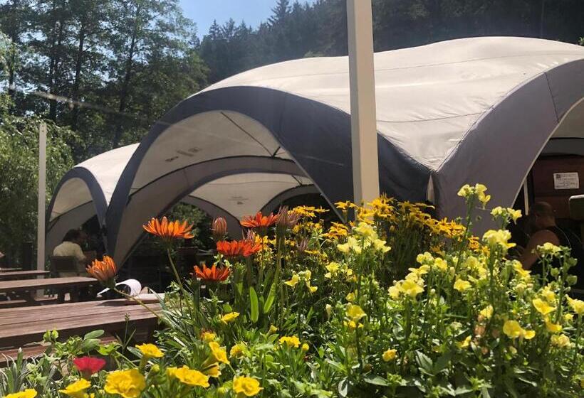 Общежитие Hamr Divci Kamen