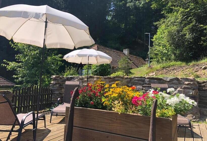 Общежитие Hamr Divci Kamen