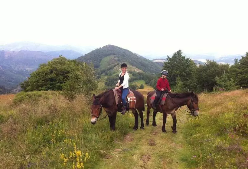 Bed and Breakfast Ciel D Ardeche