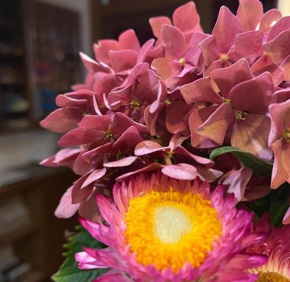 Hotelli Zenner S Land