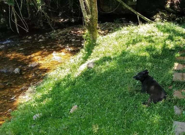 ペンション Cabanas Pousada Esmeraldas