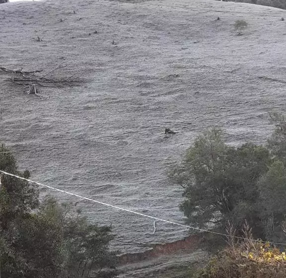 ペンション Cabanas Pousada Esmeraldas