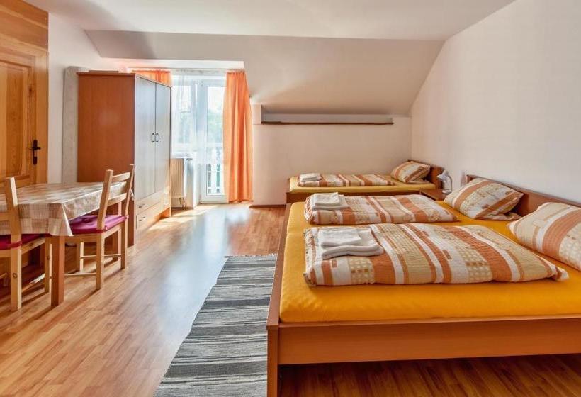 펜션 Penzion šalamoun