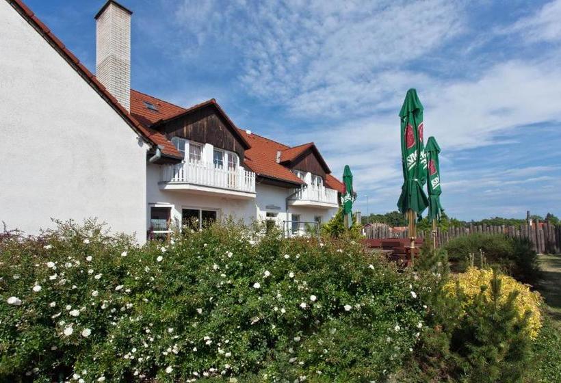 펜션 Penzion šalamoun