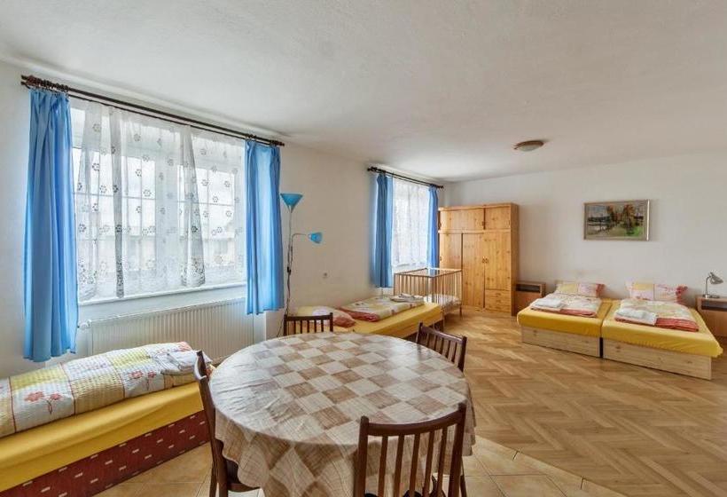 펜션 Penzion šalamoun