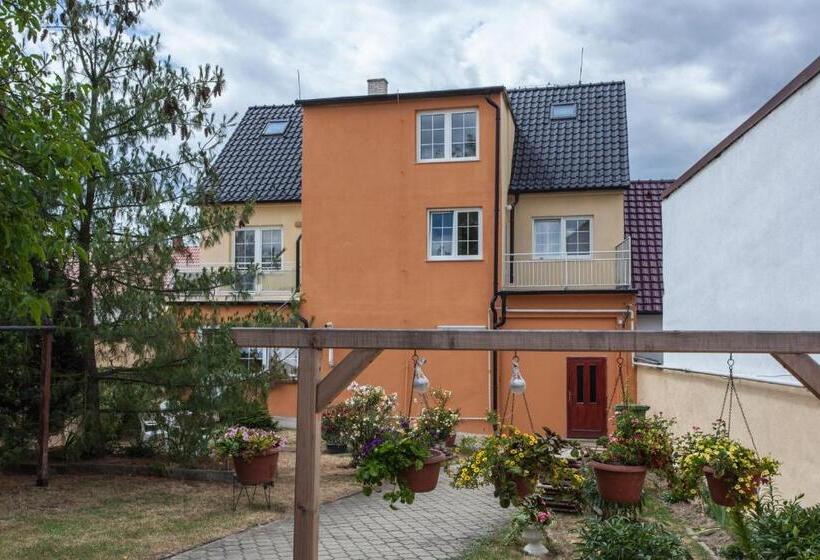 펜션 Penzion šalamoun