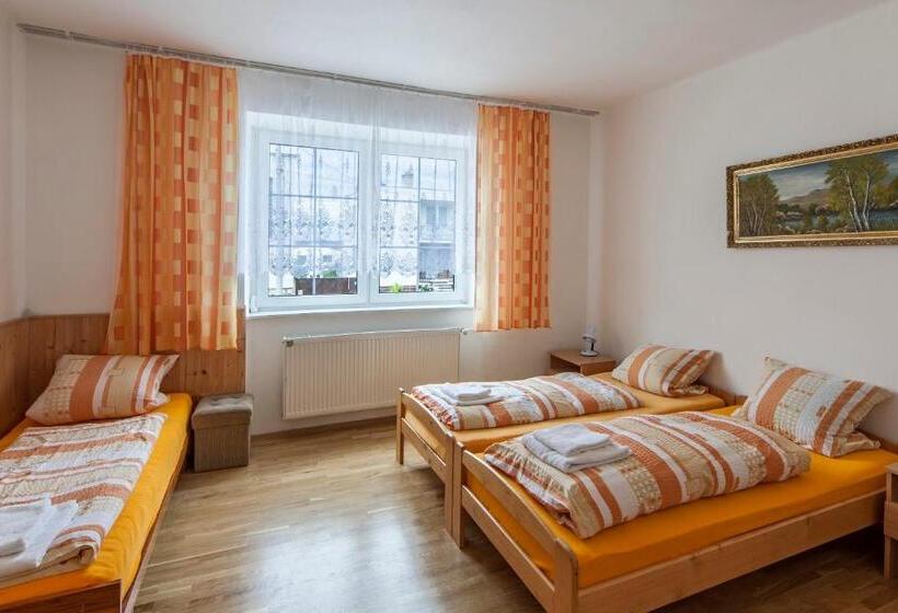 펜션 Penzion šalamoun