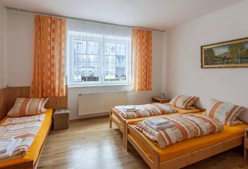 ペンション Penzion šalamoun