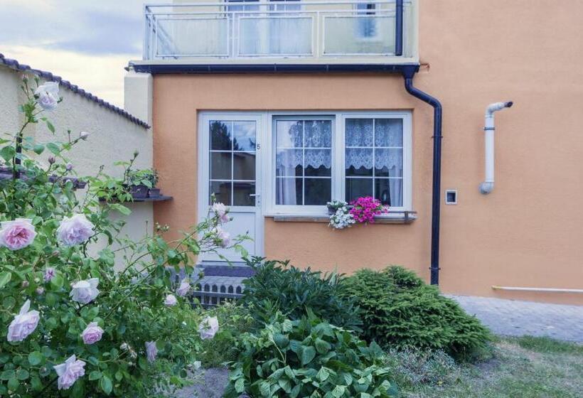 펜션 Penzion šalamoun