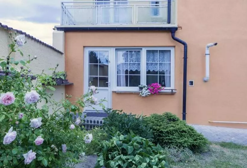 ペンション Penzion šalamoun