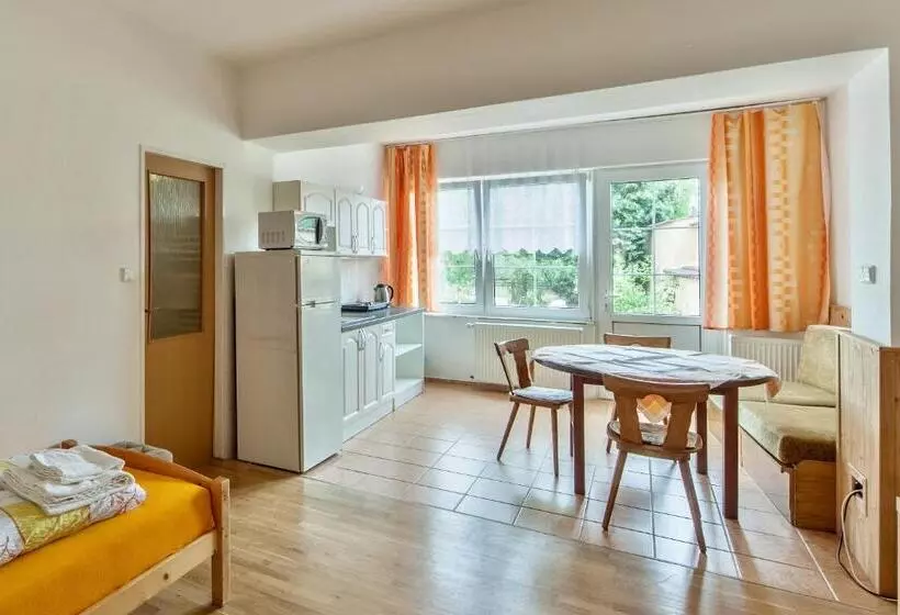 ペンション Penzion šalamoun