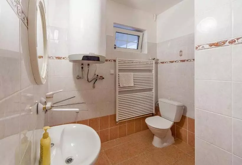 ペンション Penzion šalamoun