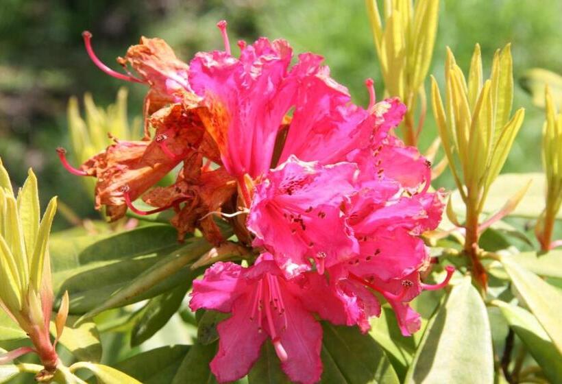 Отель Casa De Dentro Capitão Mor