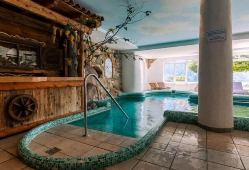 Отель Des Alpes