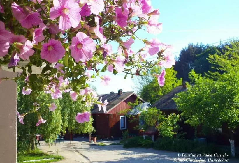 Pensiunea Valea Cernei