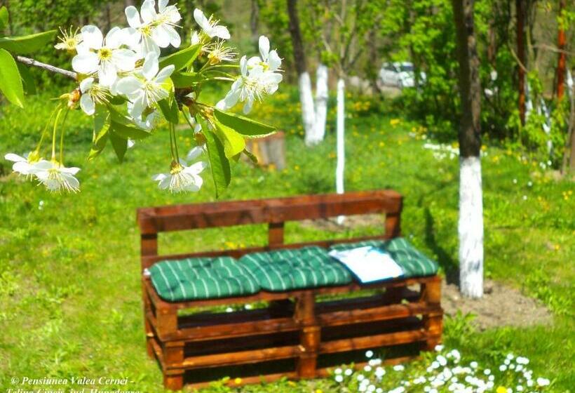 Pensiunea Valea Cernei