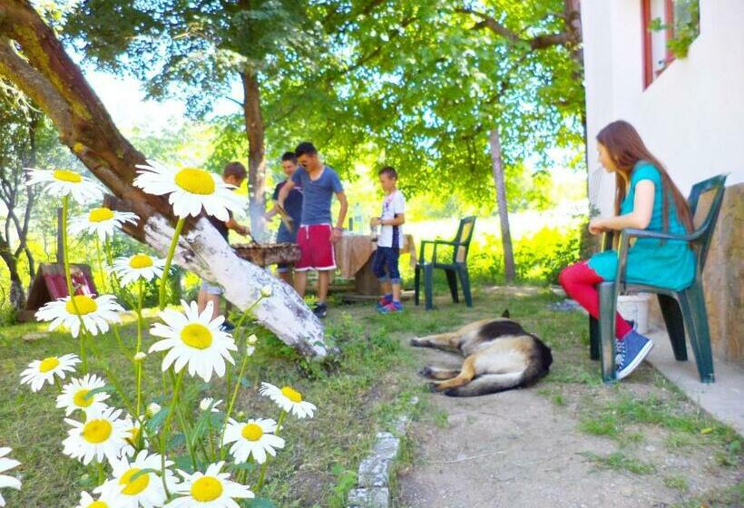 Pensiunea Valea Cernei