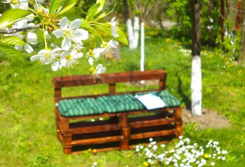 Pensiunea Valea Cernei