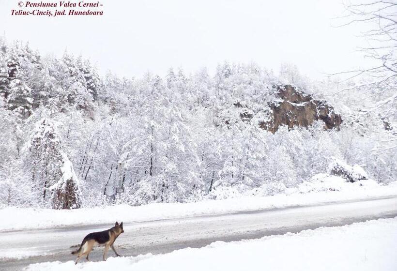 Pensiunea Valea Cernei