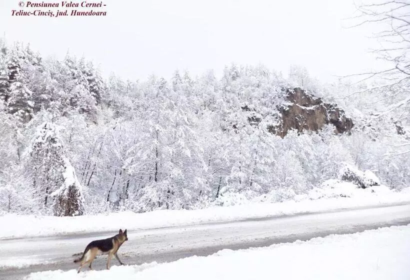 Pensiunea Valea Cernei