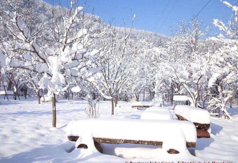 Pensiunea Valea Cernei