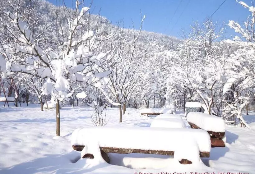 Pensiunea Valea Cernei