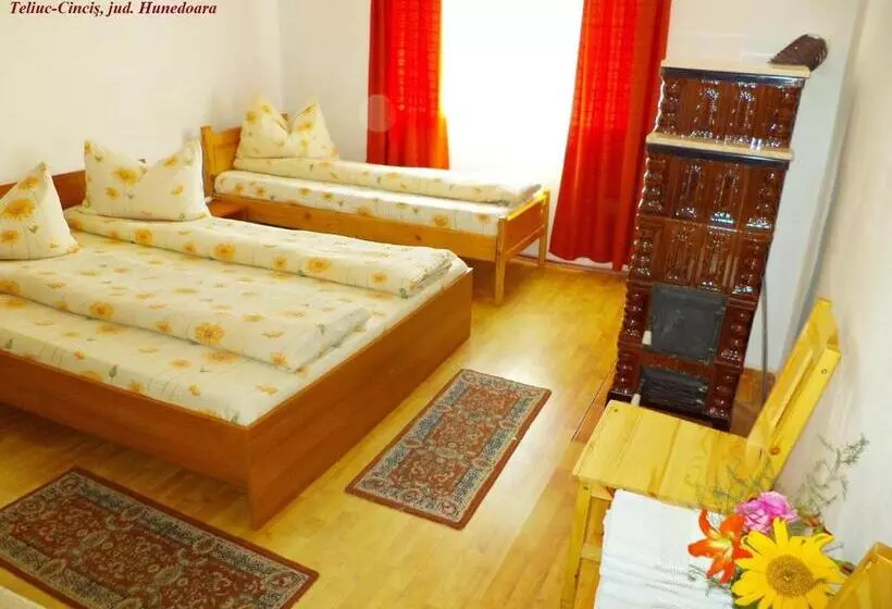 Pensiunea Valea Cernei