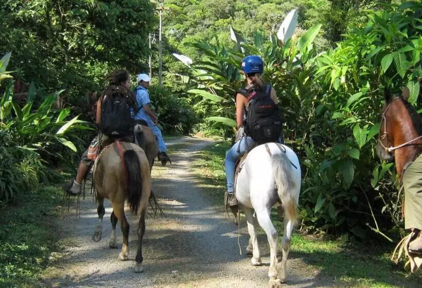 Hotel Celeste Mountain Lodge