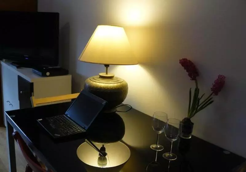 호텔 Celic Art Apartments