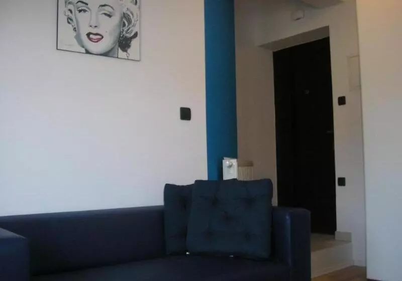 호텔 Celic Art Apartments