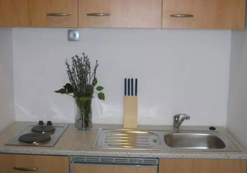 호텔 Celic Art Apartments