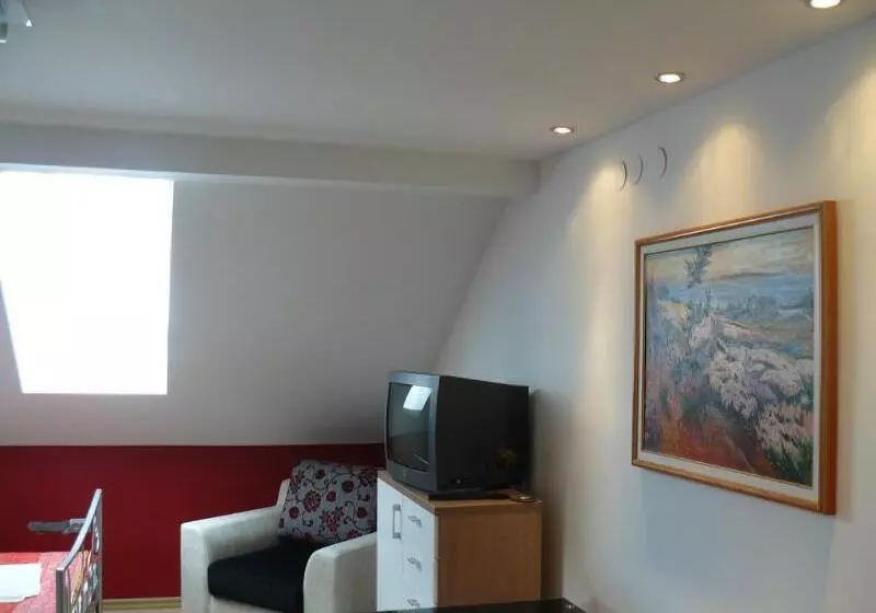 호텔 Celic Art Apartments