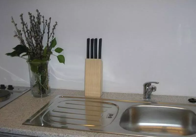 호텔 Celic Art Apartments