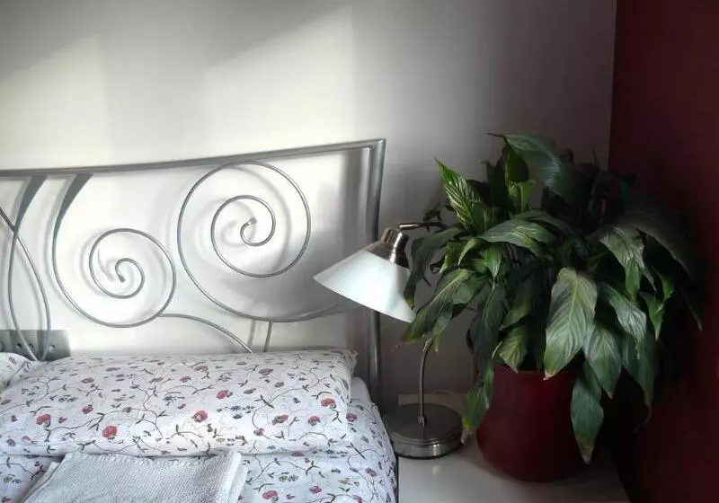 호텔 Celic Art Apartments