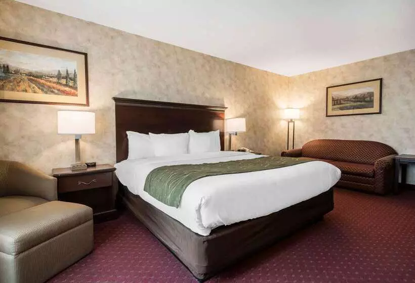 هتل Comfort Inn & Suites