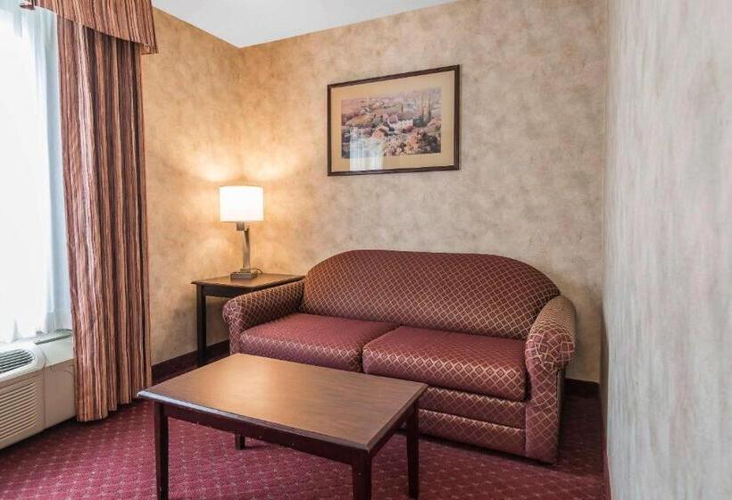 酒店 Comfort Inn & Suites