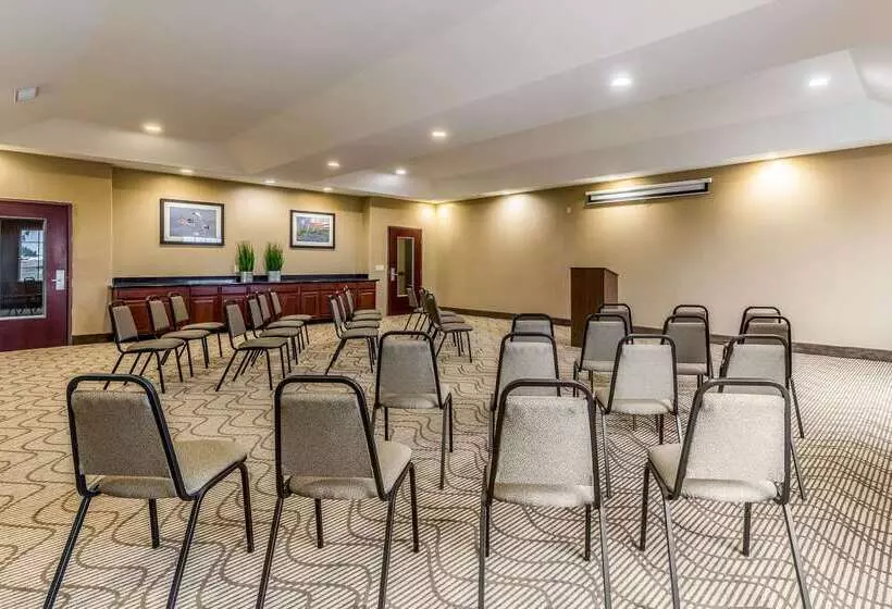 Hotel Comfort Suites