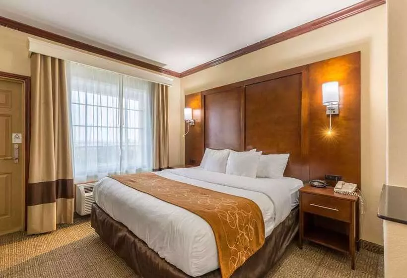 Hotel Comfort Suites