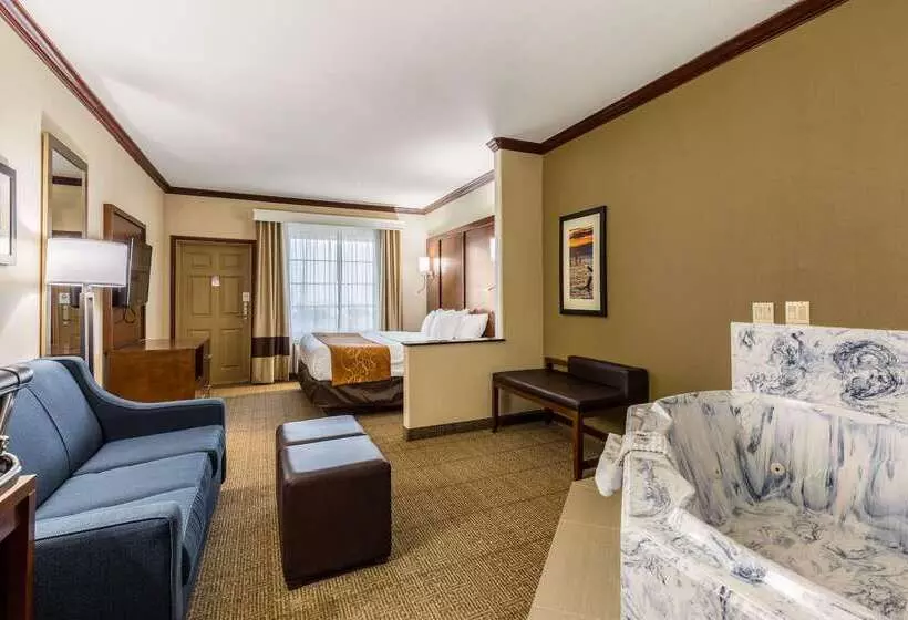 Hotel Comfort Suites