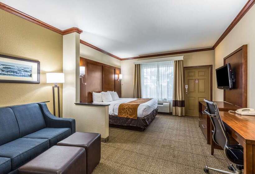 فندق Comfort Suites