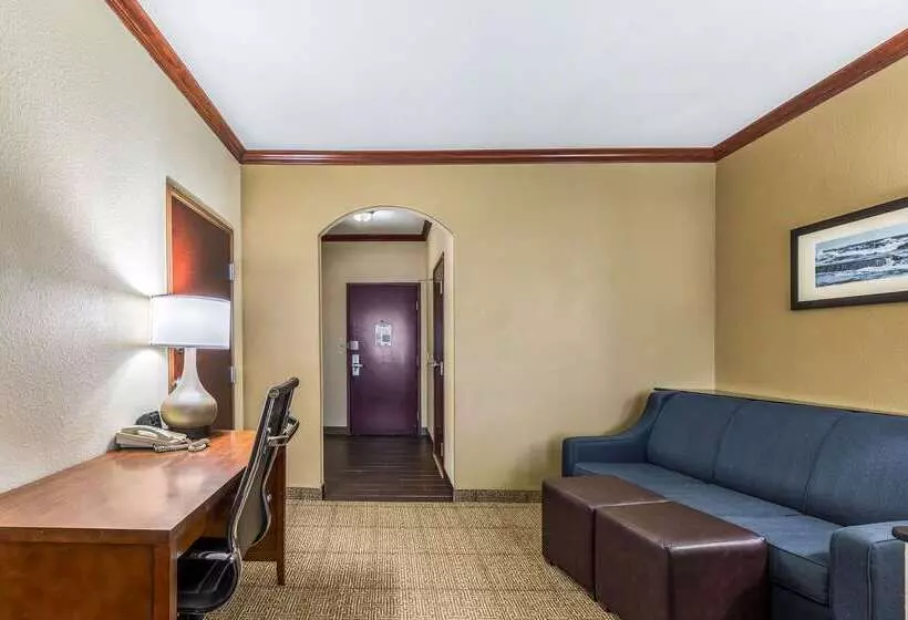 Hotel Comfort Suites