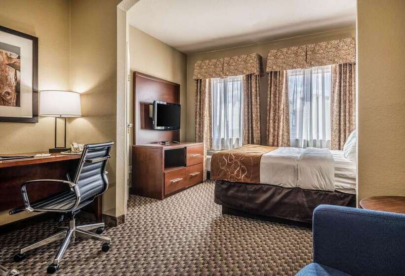 호텔 Comfort Suites Near Texas State University