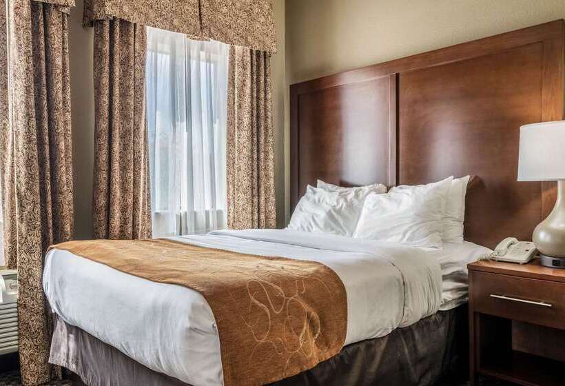 호텔 Comfort Suites Near Texas State University