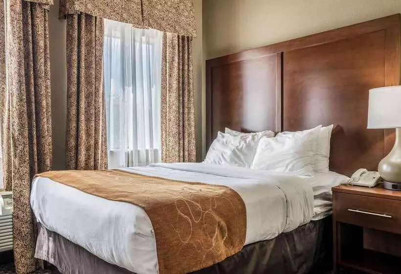 호텔 Comfort Suites Near Texas State University