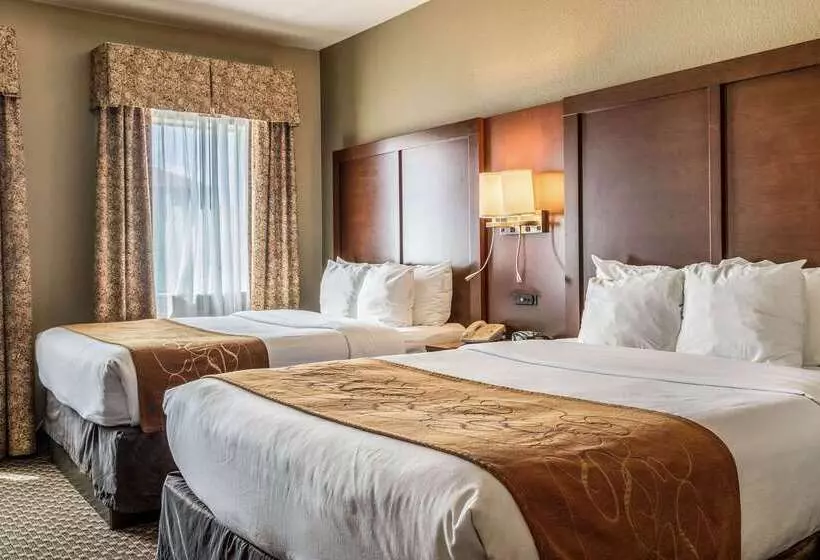 호텔 Comfort Suites Near Texas State University