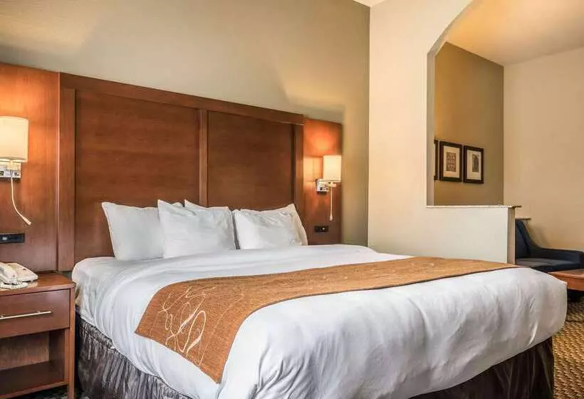 호텔 Comfort Suites Near Texas State University
