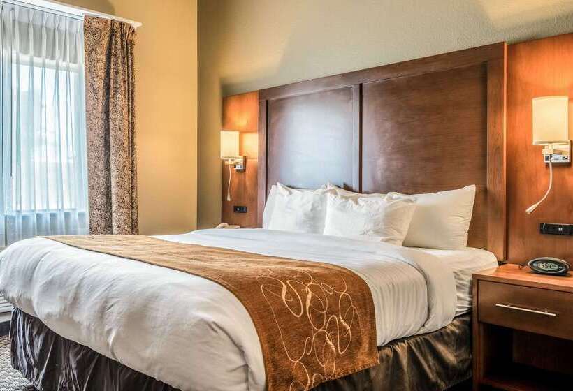 호텔 Comfort Suites Near Texas State University