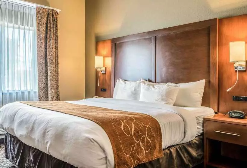 호텔 Comfort Suites Near Texas State University